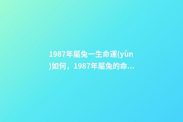 1987年屬兔一生命運(yùn)如何，1987年屬兔的命運(yùn) 1987年屬兔是什么命